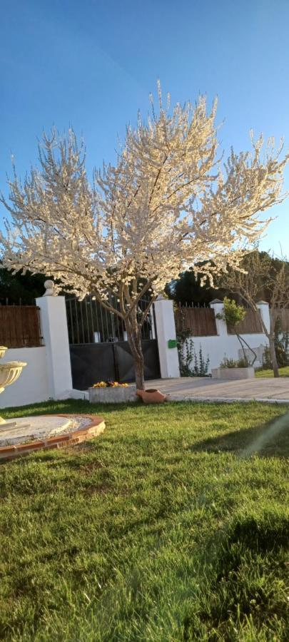 Сasa de vacaciones La Espiga Valladolid